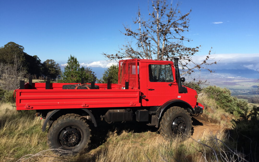 Unimog 1700 L Hawaii